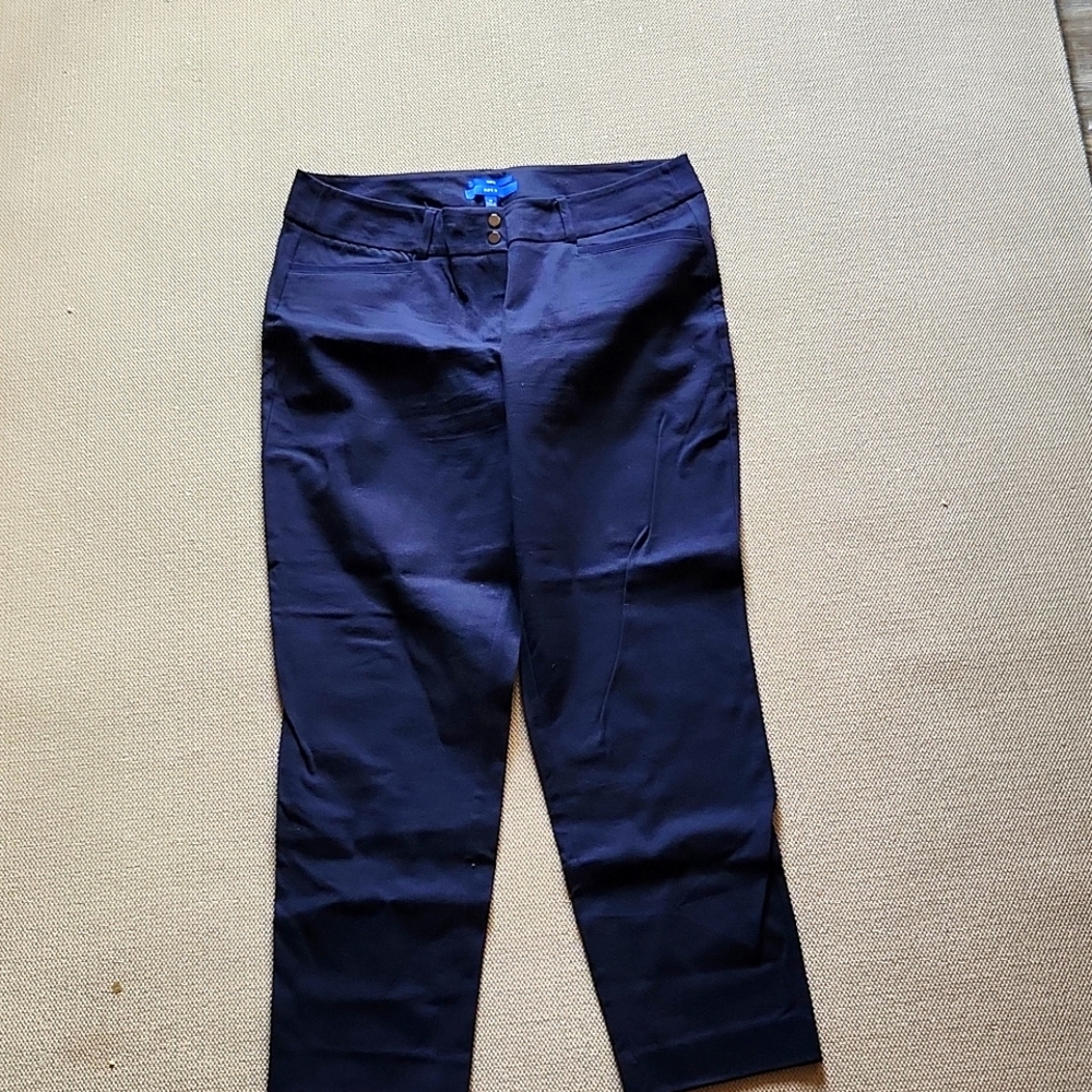 Apt 9, Tories style size 14 pant